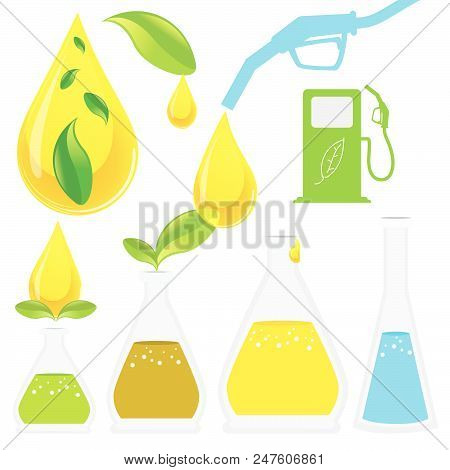 Biodiesel Production Process. It Is Renewable And Natural Domestic Fuel Extracted From Animal Fats O