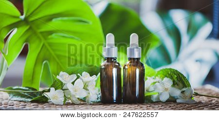 Essential Jasmine Oil. Bioproduct, Organic Cosmetics. Perfumery, Cosmetology, Aromatherapy