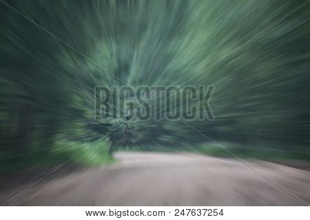 Road In The Green Forest ,abstract Nature Forest
