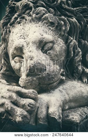 Head Of Old Vintage Stone Lion. Retro Styled7