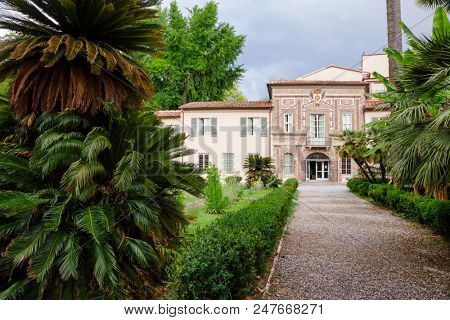 PISA, ITALY - MAY 30, 2018: Orto botanico di Pisa (Orto Botanico dell Universita di Pisa), the oldest university botanic garden in the world established by Cosimo Medici in1544