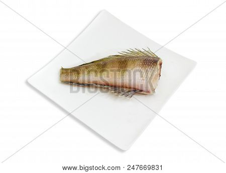 Uncooked  сarcass Of The Notothenia Fish Without Of A Head And Tail On The White Square Dish On A Wh