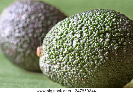 Hass Avocados Close Up