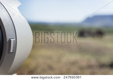 White Camera Lenshood With Defocased Deserted Adapted Elephants And Landscape In Bush In Torra Conse