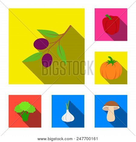 Different Kinds Of Vegetables Flat Icons In Set Collection For Design. Vegetables And Vitamins Vecto