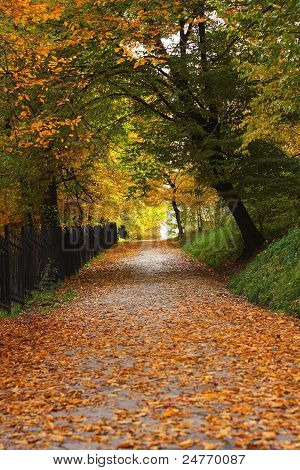 Syksyn Alley
