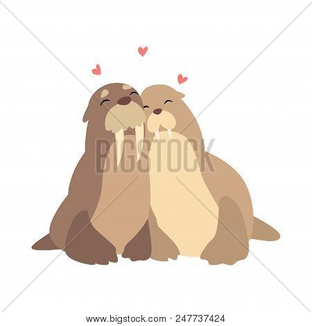 Couple Of Walruses In Love Embracing Each Other, Two Happy  Aniimals Hugging With Hearts Over Their 