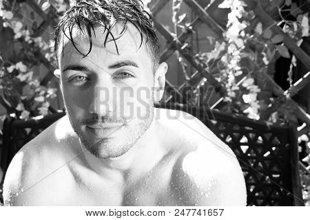 Fit, Handsome, Shirtless Man With Bare Chest, Muscles And Defined Pecs Sits On Bench In Garden With 