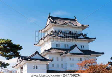 Odawara Castle Is A Hirayama-style Japanese Castle, Odawara, Japan. Copy Space For Text.