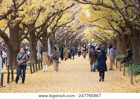 Icho Namiki, Tokyo