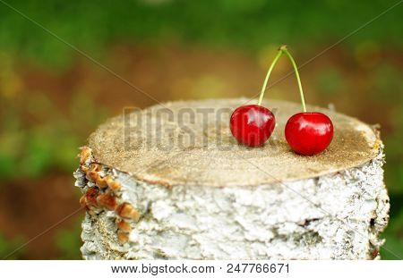 Red Ripe Cherry On A Background Of Trees And The Sun