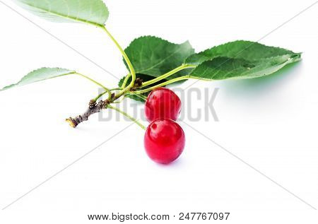 Red Ripe Cherry On A Background