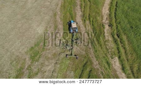 Aerial, View Agricultural Machinery With Wheeled Rake Makes Ranks Beveled Hay.tractor Which Is Linin