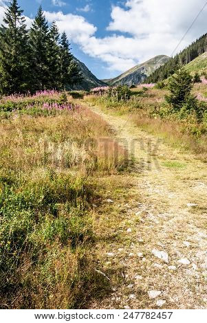 Rackova Dolina Valley With Flowering Mountain Meadows, Peaks On The Background, Hiking Trail And Blu