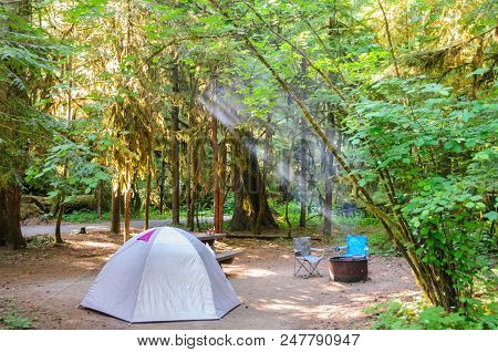 Impression From The Campsite At La Wis Wis, Along The Cowlitz River. Near Mount Rainier National Par