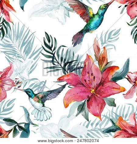 Beautiful Colorful Flying Hummingbirds And Red Lily Flowers On White Background. Exotic Tropical Sea