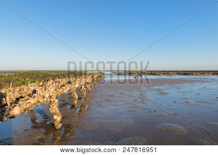 Ile de RÃ© - Oyster banks in the sea