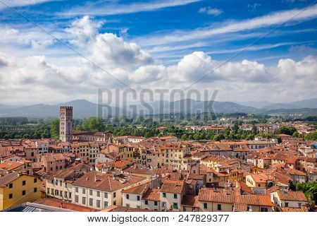 Aerial view of Lucca old town with mediterranean terracotta roof buildings on narrow streets, Tuscany, Italy
