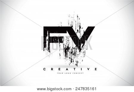 Fv F V Grunge Brush Letter Logo Design In Black Colors. Creative Brush Letters Vector Illustration.