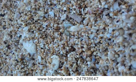 Trillions Of Sand Granules That Can Not Be Calculated