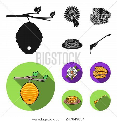 A Hive On A Branch, A Bee On A Flower, A Honeycomb With Honey, A Honey Cake.apiary Set Collection Ic