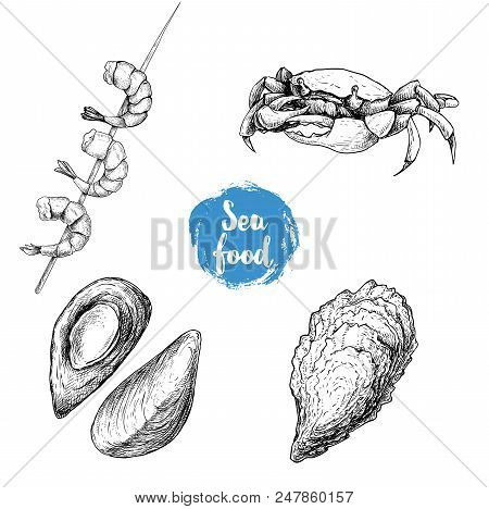 Seafood Sketches Set. Cooked Grilled Shrimps On Bamboo Stick, Opened Mussels, Oyster And Crab. Sea M