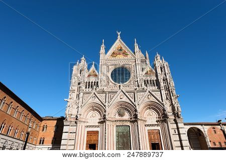 Siena Cathedral (santa Maria Assunta) 1220 1370 With Clear Blue Sky. Toscana (tuscany), Italy, Europ