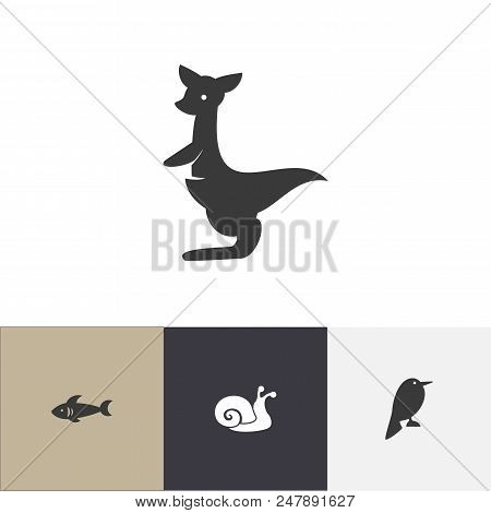 Set Of 4 Editable Animal Icons. Includes Symbols Such As Snail, Nightingale, Sea Predator And More. 