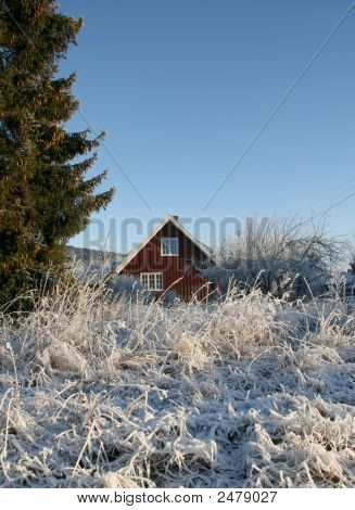 Vinter