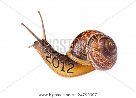 Caracol 2012