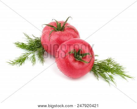 Ripe Tomatoes With Fresh Dill Are Situated On The White Background, Ready For Cooking.