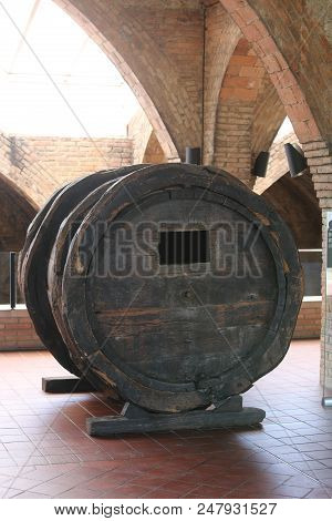 Stock Photo Of Winery Production In Italy