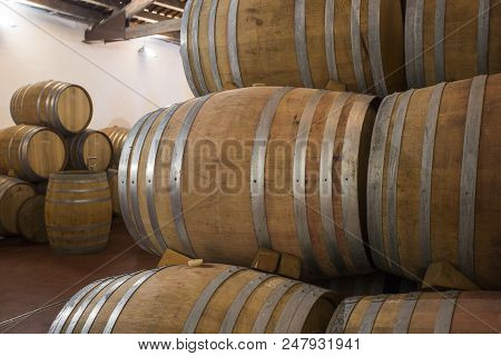 Stock Photo Of Winery Production In Italy