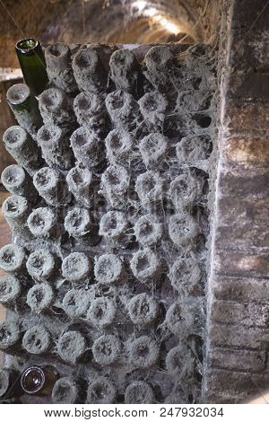Stock Photo Of Winery Production In Italy