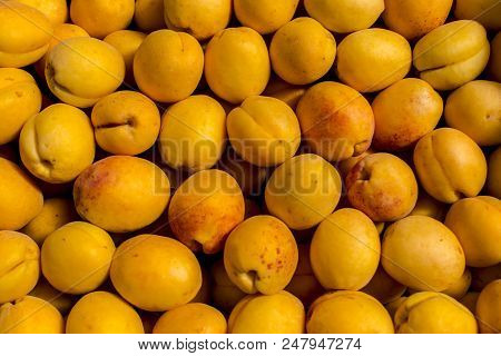 Fresh Fruit Abstract Colorful Pattern Texture Background