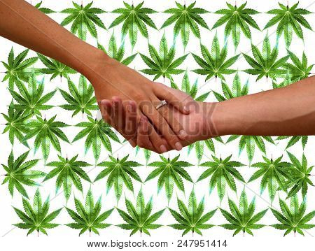 Engagement couple with Marijuana background. A couple hold hands with an engagement ring and marijuana leaf background. isolated on white. room for text. 
