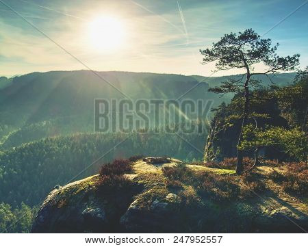 View Through Pine And Beech Branches To Deep Misty Valley Within Daybreak. Sandstone Peaks Increased