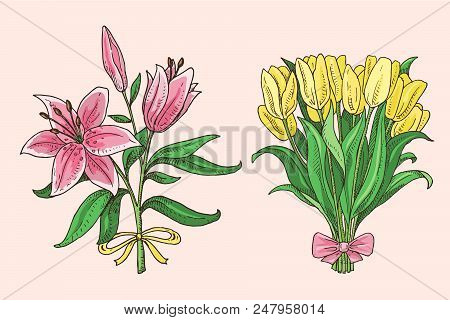 Set Of Hand Drawn Spring Bouquets