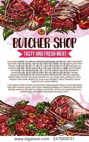 Butcher Shop Sketch Poster Design Of Meat Products. Vector Natural Butchery Meat Of Beef Or Mutton A