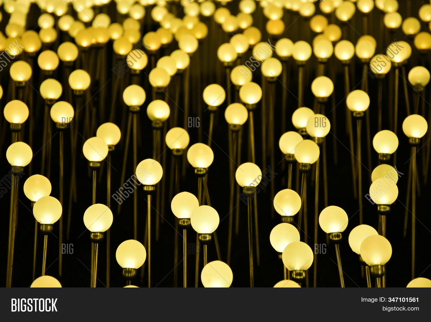 Field Lanterns Park Image & Photo (Free Trial) Bigstock