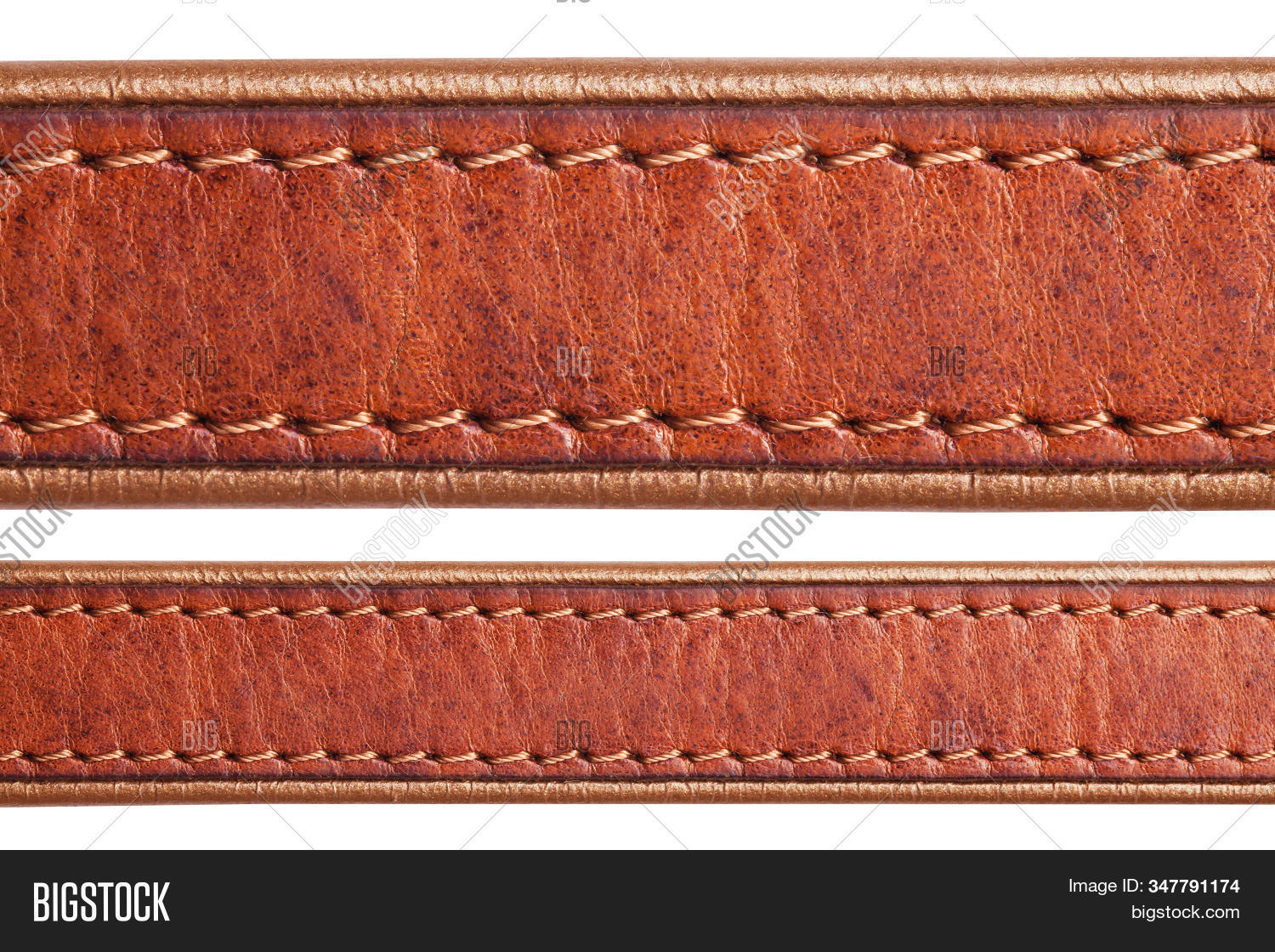 Brown Leather Belt Image & Photo (Free Trial) Bigstock