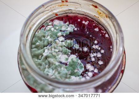 Mold In A Jar Of Jam. Hazardous To Health. Mold.