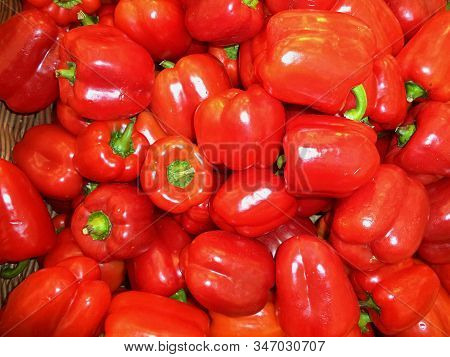 Lots Of Fresh Sweet Red Bolgarian Peppers