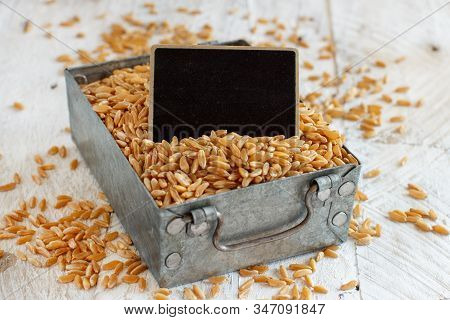 Raw Kamut Grain In A Metal Box With A Small  Chalkboard