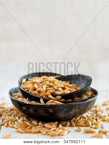 Raw Kamut Grain In A Metal Bowls Close Up