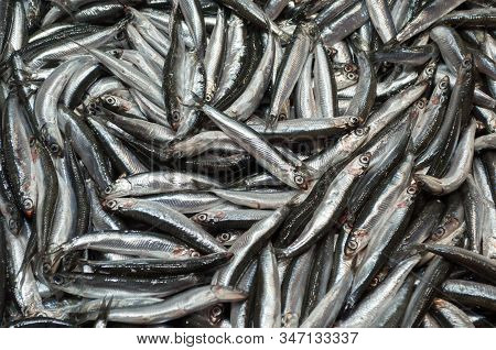 Hamsi Turkish Anchovy At A Street Market In Istanbul.