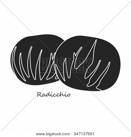 Radicchio Vector Icon.black, Simple Vector Icon Isolated On White Background Radicchio.
