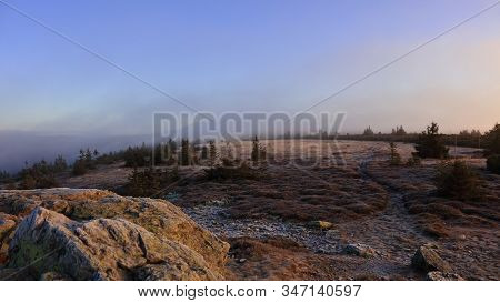 Mountain Meadow In Morning Fog Just After Sunrise, Pecny (1330 M), Jeseniky, Czech Republic. Novembe