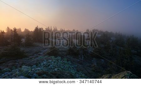 Mountain Meadow In Morning Fog Just After Sunrise, Pecny (1330 M), Jeseniky, Czech Republic