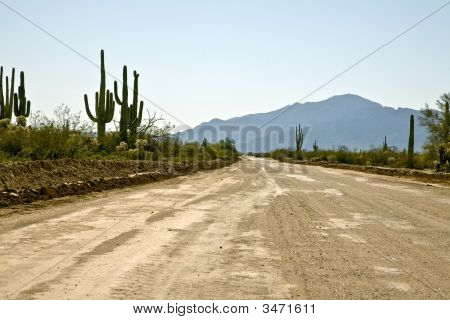 Arizona Backroad